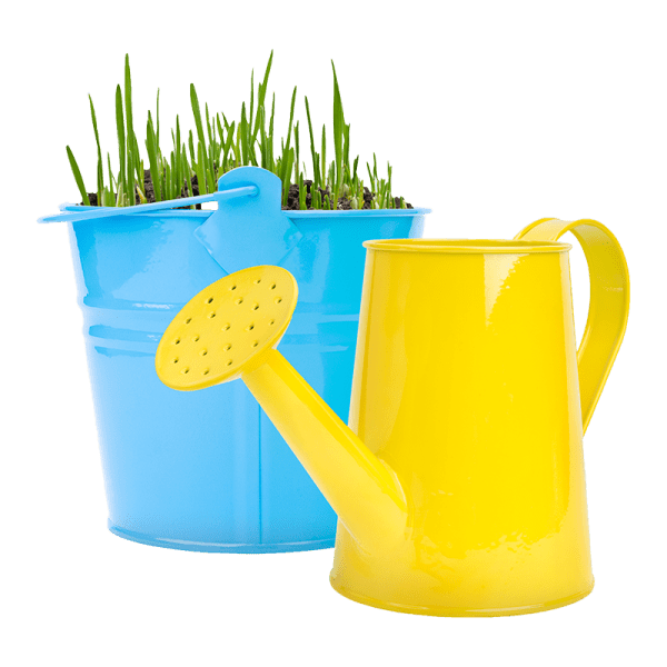 Narcissus Flower Watering Can Arrangement